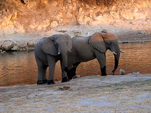 Botswana