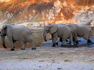 Botswana