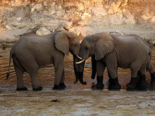 Botswana