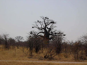 Botswana