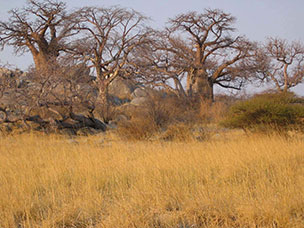 Botswana