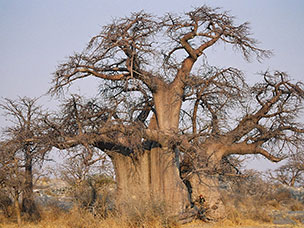 Botswana