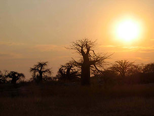 Botswana