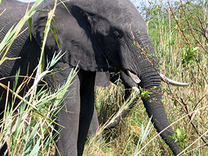 Botswana