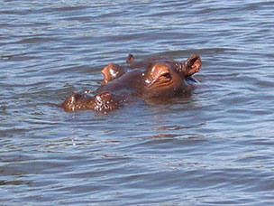 Botswana