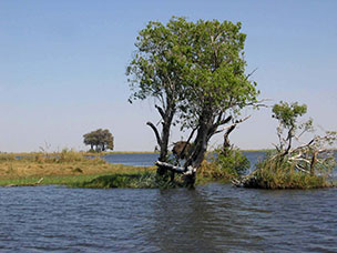 Botswana