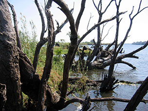 Botswana