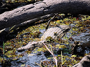 Botswana