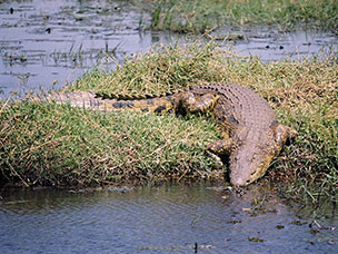 Botswana