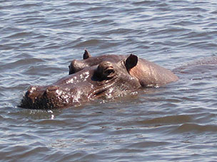 Botswana