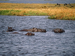 Botswana