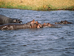 Botswana