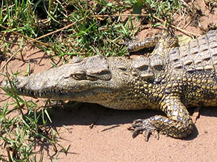 Botswana