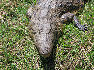 Botswana