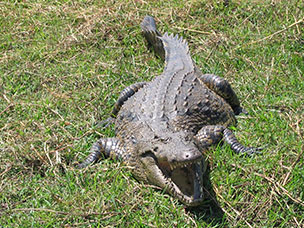 Botswana
