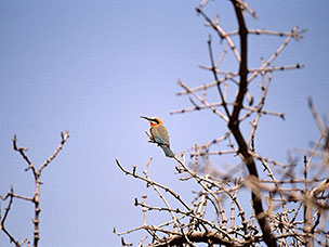 Botswana