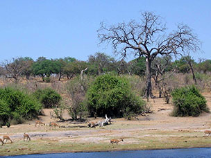 Botswana