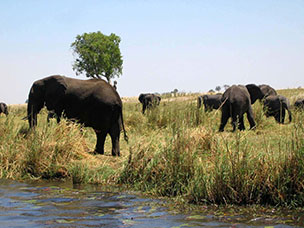 Botswana