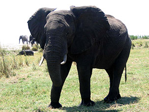 Botswana