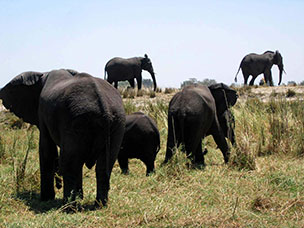 Botswana
