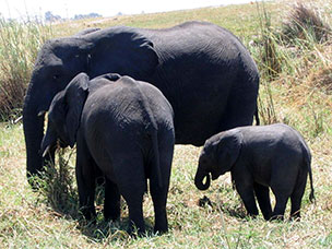 Botswana