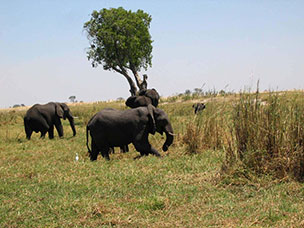 Botswana