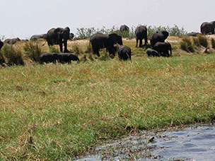 Botswana