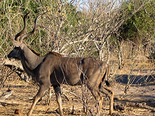 Botswana
