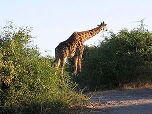 Botswana