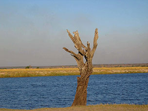 Botswana