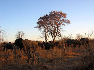 Botswana