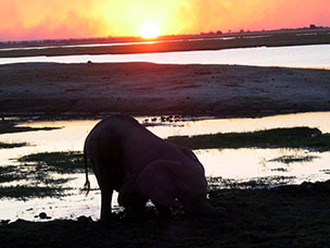 Botswana