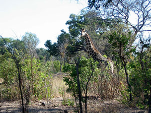 Botswana