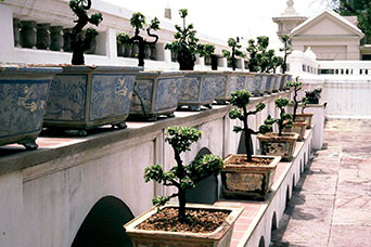 Bangkok