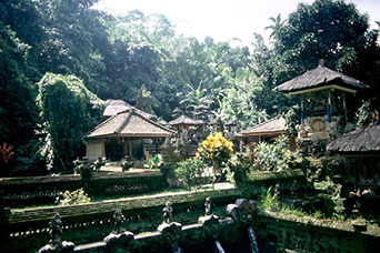 Bali
