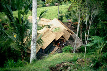 Bali
