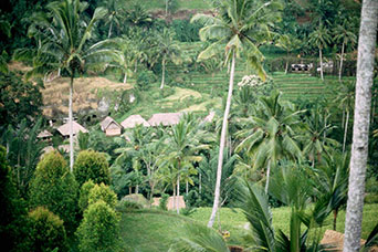 Bali
