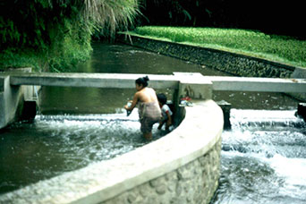 Bali