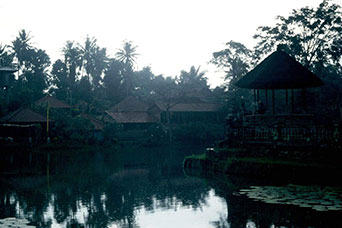 Bali