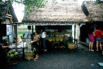 Bali