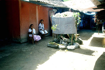 Bali