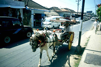 Bali