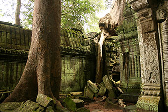 Cambogia