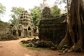 Cambogia
