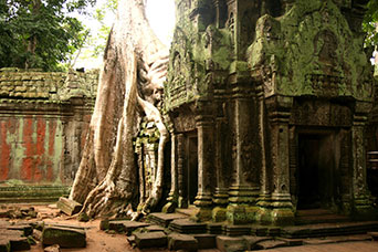 Cambogia