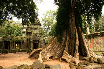 Cambogia