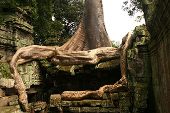 Cambogia