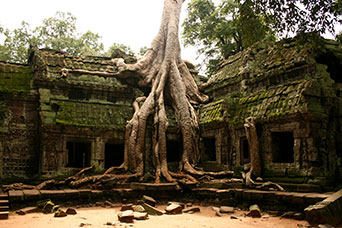 Cambogia