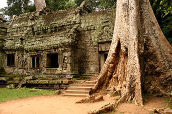 Cambogia