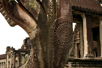 Cambogia